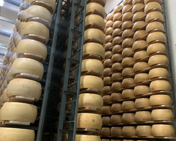 Accordo CCFS – LEGACOOP EMILIA OVEST a sostegno degli investimenti delle cooperative agroalimentari associate